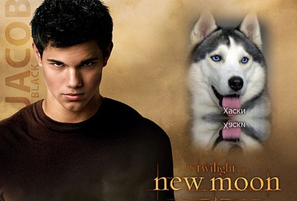 Владик Голубцов фотография #5