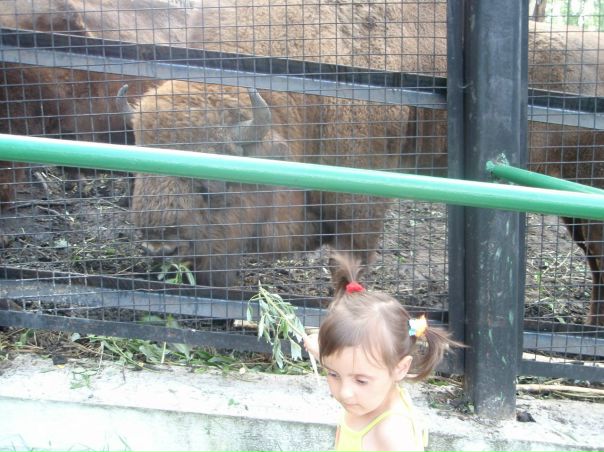 №4, Лада Махова №4, Лада Махова