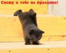 Іра Мамчур фотография #2 (источник - https://vk.com/id54693391)