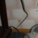 Віка Костевка фотография #38 (источник - https://vk.com/id151551439)