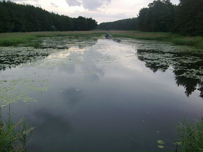 Дмитрий Байбус фото №50