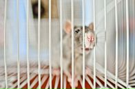 Фотография Байковой Ольги