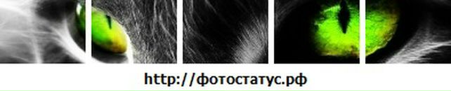 Діма Петров фотография #12 (источник - https://vk.com/id76484046)