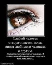 Вікторія Фофанова фотография #47 (источник - https://vk.com/id37197168)