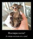 Андрій Музика фотография #21 (источник - https://vk.com/id10501323)