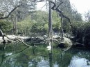 Танюфк@ Кіт фотография #14 (источник - https://vk.com/id71169500)