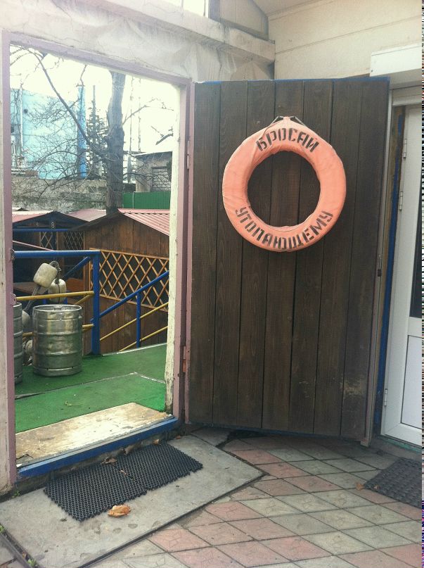 Дарья Вернер фотография #43