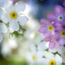 Фотография Анастасия Филатова