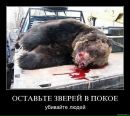 Олег Андрейців фотография #30 (источник - https://vk.com/id113450698)