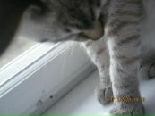 Таня Чайківська фотография #10 (источник - https://vk.com/id132647977)