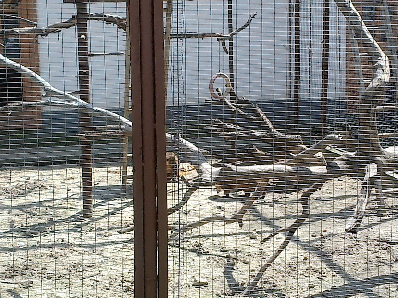 Сергей Бойко фотография #36