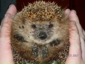 Фотография Елынина Евгения