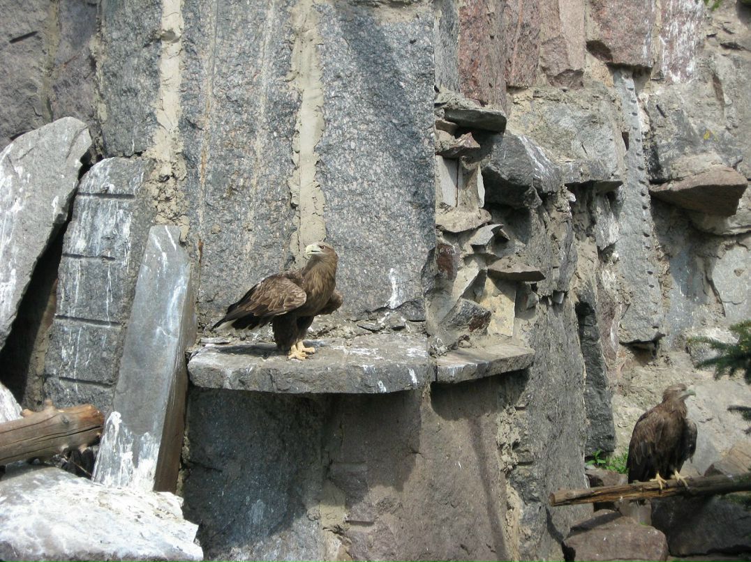 Антон Полянский фотография #6