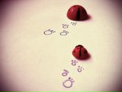 Фотография Блинковой Дафны