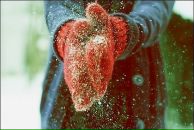 Фотография Ts Julius