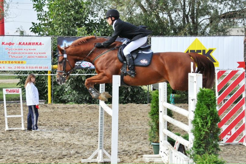 Денис Гофман фотография #7