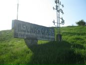 Міша Глушко фотография #42 (источник - https://vk.com/id136536157)