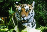 Фотография Байметова Алексея