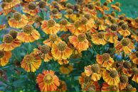 Юрій Нагорний фотография #35 (источник - https://vk.com/id19780900)