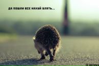 Фотография Зеленевы Виктории