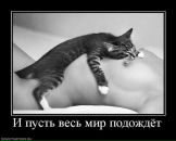 Фотография Крытьева Артёма