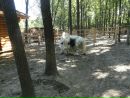 Лєна Лісянець фотография #15 (источник - https://vk.com/id163702735)