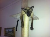 Катя Степаненко фотография #40 (источник - https://vk.com/id815359)