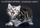 Ірина Яриш фотография #41 (источник - https://vk.com/id159922469)