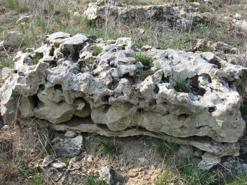 Артем Семищенко фотография #50