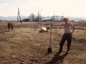 Фотография Шеманаева Николая