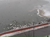 Наталя Замараєва фотография #10 (источник - https://vk.com/id13600071)