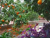 Иван Лыков фотография #15 (источник - https://vk.com/id1862811)