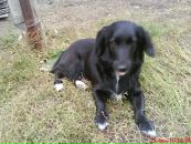 Фотография Меркурьевой Марии