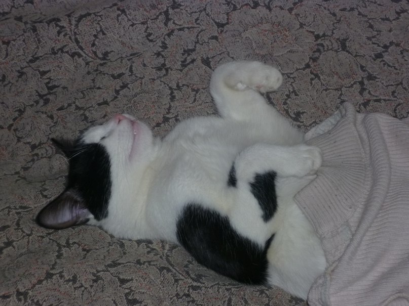 Сергей Басов фотография #13