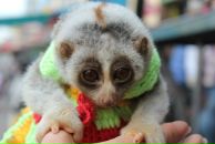 Фотография Николаевой Ксении