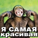 Аліна Маркульчак фотография #2 (источник - https://vk.com/id111183317)
