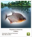 Діма Мікулеску фотография #21 (источник - https://vk.com/id148218934)