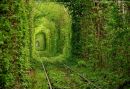 Фотография Исаева Алексея