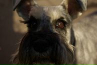 Андрей Разбаш фотография #8 (источник - https://vk.com/id4143399)