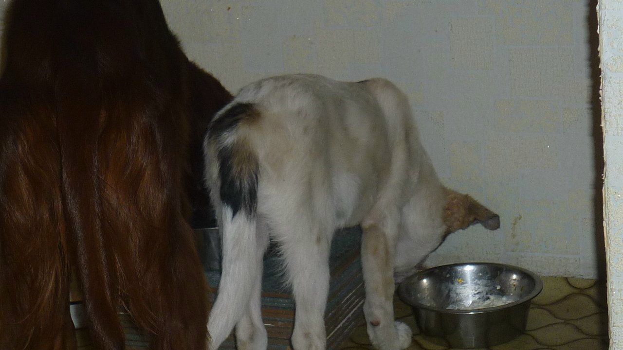 Александр Усов фотография #24