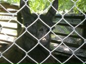 Наталія Яремків фотография #49 (источник - https://vk.com/id96030317)