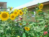 Юлія Раєвська фотография #27 (источник - https://vk.com/id8778802)