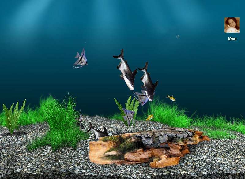 Коля Ободинский фотография #10