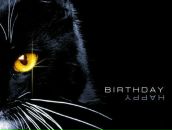 Фотография Евтюховой Алёны