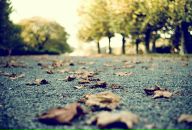 Світлана Малиш фотография #6 (источник - https://vk.com/id140144108)