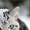 Юлія Онищенко фотография #10 (источник - https://vk.com/id99341648)