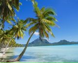 Фотография Вечного Сергея