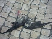 Іріша Фаніна фотография #26 (источник - https://vk.com/id16276077)