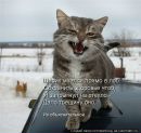 Вячеслав Глинин фотография #19 (источник - https://vk.com/id167862473)