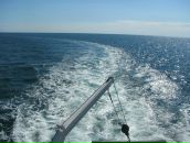 Сергій Кравцов фотография #30 (источник - https://vk.com/id60631899)